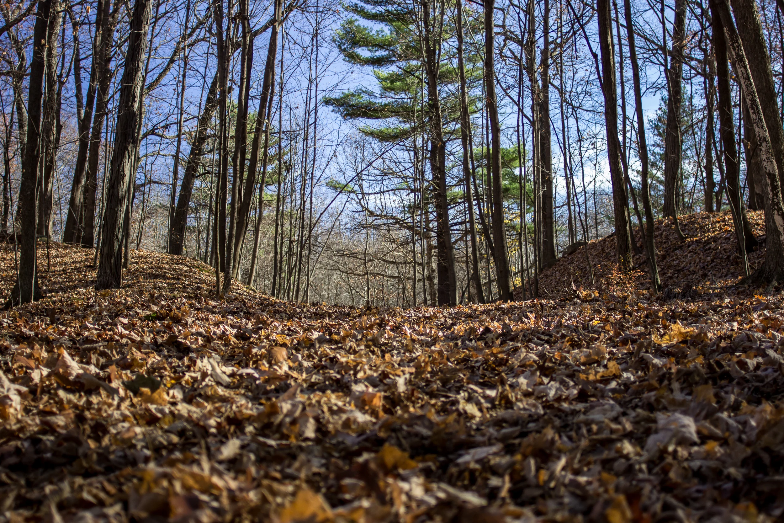 JUSTIN SPRECHER - Ice Age Trail - Devil's Lake Loop